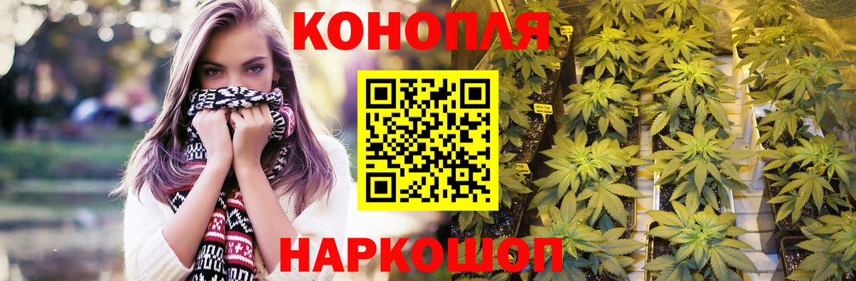 Конопля план  Бошки Шишки SATIVA & INDICA  Вход с VPN  Канабис планчик  Ирбит 